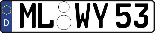ML-WY53
