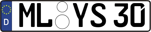 ML-YS30