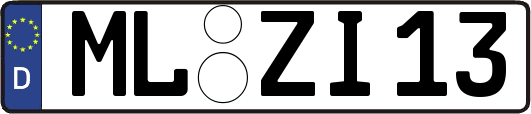 ML-ZI13