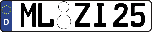 ML-ZI25