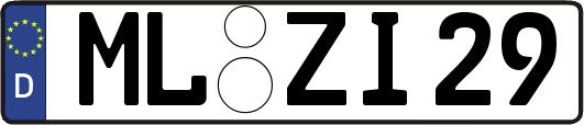 ML-ZI29