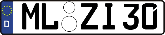 ML-ZI30