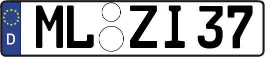 ML-ZI37