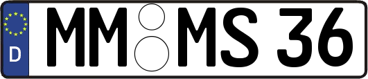 MM-MS36