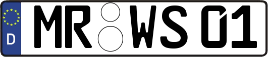 MR-WS01
