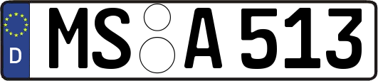 MS-A513