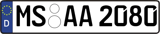 MS-AA2080