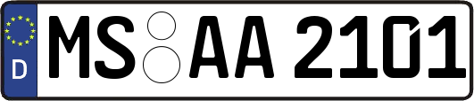 MS-AA2101