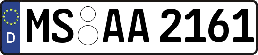 MS-AA2161