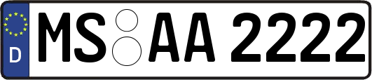 MS-AA2222
