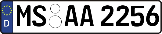 MS-AA2256