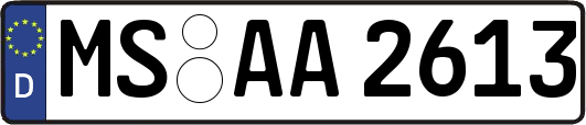 MS-AA2613