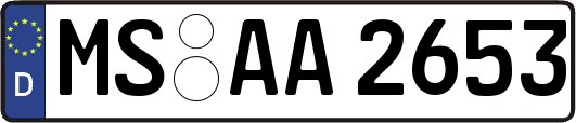 MS-AA2653