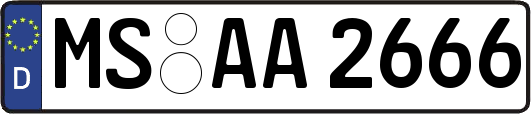 MS-AA2666