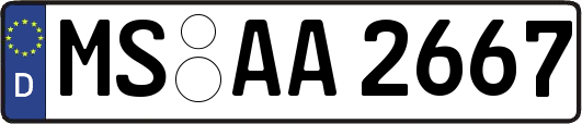 MS-AA2667