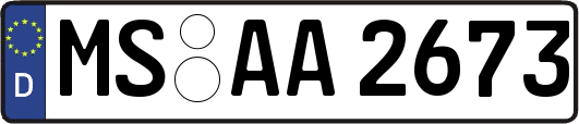 MS-AA2673