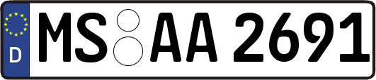 MS-AA2691