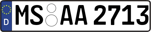 MS-AA2713