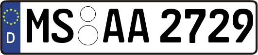 MS-AA2729