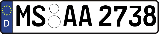 MS-AA2738