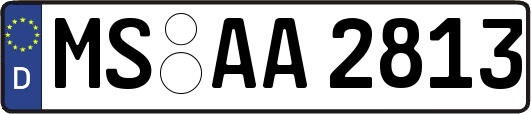 MS-AA2813