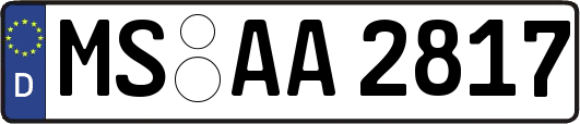 MS-AA2817