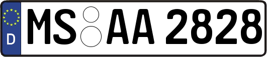 MS-AA2828