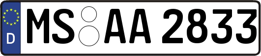 MS-AA2833