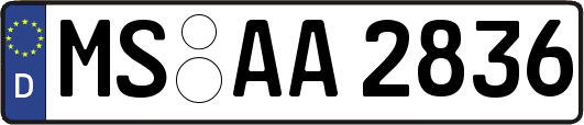 MS-AA2836