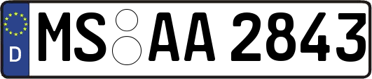 MS-AA2843