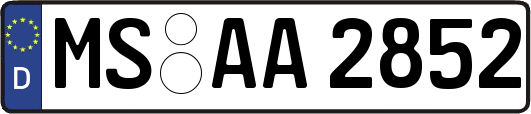 MS-AA2852