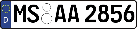 MS-AA2856