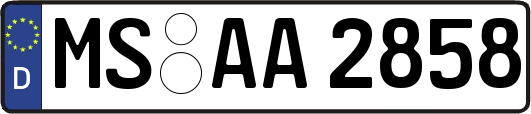 MS-AA2858