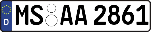 MS-AA2861