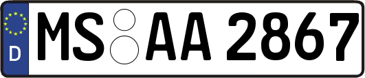 MS-AA2867