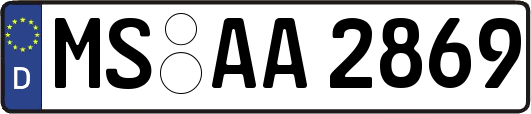 MS-AA2869
