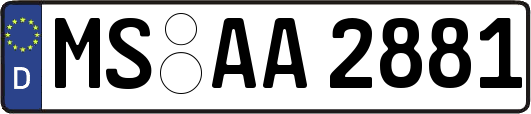 MS-AA2881