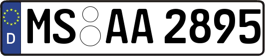 MS-AA2895