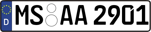 MS-AA2901