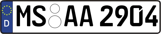MS-AA2904