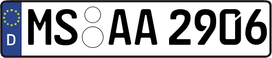 MS-AA2906