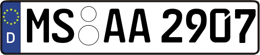 MS-AA2907