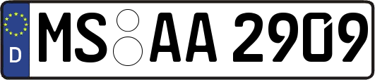 MS-AA2909
