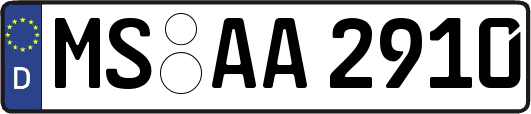 MS-AA2910