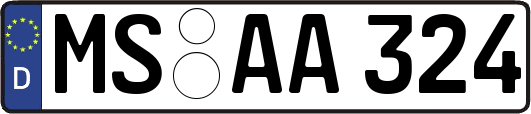 MS-AA324