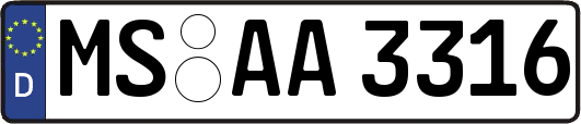 MS-AA3316