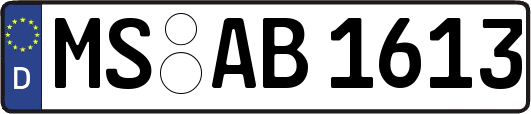 MS-AB1613