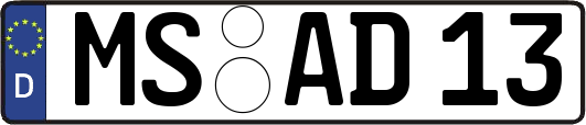 MS-AD13