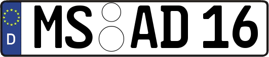 MS-AD16