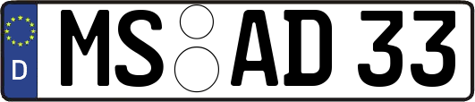 MS-AD33